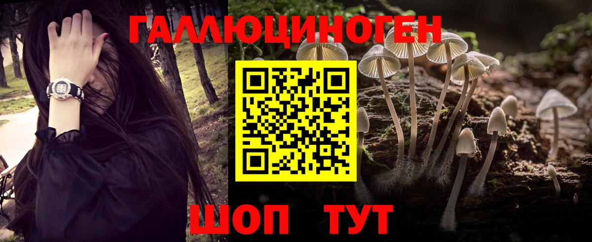 Псилоцибиновые грибы ЛСД  Вход с VPN  Новороссийск 